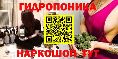молекула духа Владимир