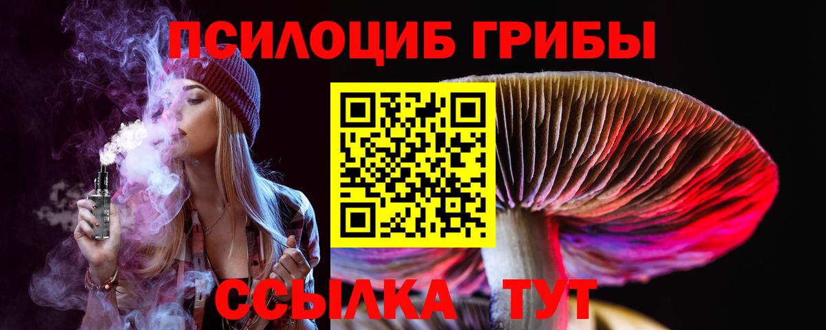 Псилоцибиновые грибы Cubensis  продажа наркотиков  Аша  Вход с VPN 